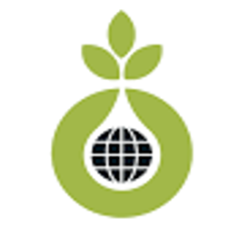 Logo of the Brazzaville Foundation